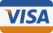 visa icon